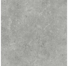 Feinsteinzeug Wand- und Bodenfliese Baltimore grau 60 x 60 cm-thumb-5