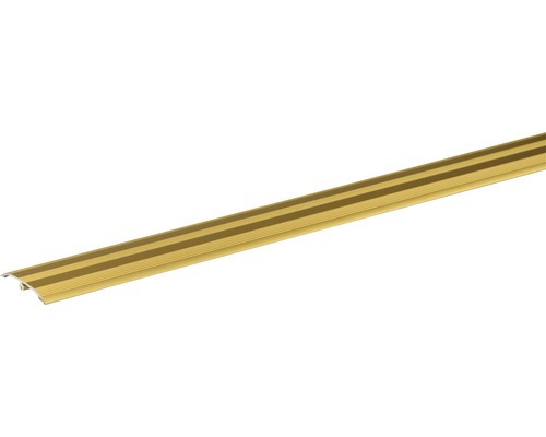 SKANDOR Dowel-Fix Nr. 6 Gold Eloxiert 5,5x37,5x900 mm Profilleiste aus Metall mit Dekor