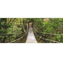 Hängebrücke aus Holz und Stahlseilen im Wald