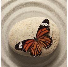 Glasbild Butterfly II 50x50 cm GLA992