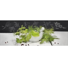 Stillleben mit Kräutern und Mörser vor einer Tafel mit Kräuterzeichnungen