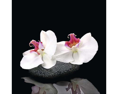Glasbild White Orchid V 20x20 cm GLA1340