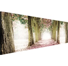 Dekoratives Wandbild mit Baumallee und Blüten