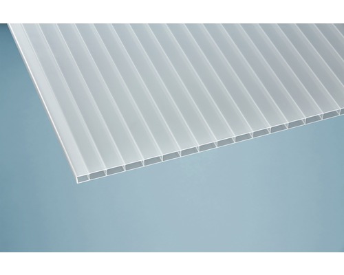 Transparente Doppelstegplatte aus Polycarbonat