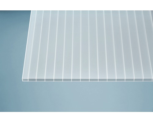 Polycarbonat Doppelstegplatte
