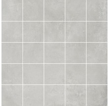 Mosaik Gare du Nord Cortina light grey 30x30 cm