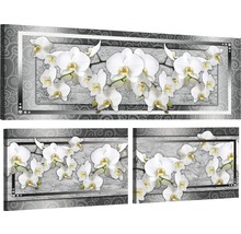 Leinwandbild Orchidee 3er-Set 80x55,8 cm