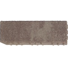 Betonpflasterstein