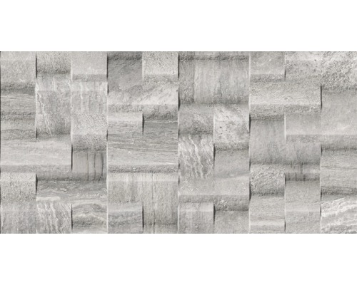 Feinsteinzeug Dekorfliese Portman gris 32 x 62,5 cm Mosaikfliese mit Steinoptik für Wandgestaltung