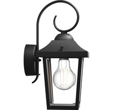 Außenwandleuchte 1-flammig H 29 cm schwarz