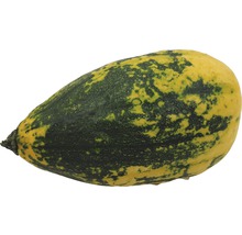 Birnenförmiger Zierkürbis