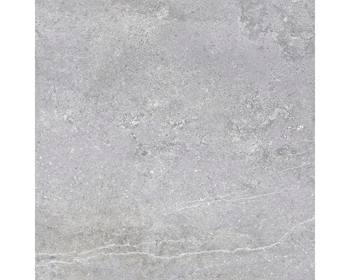 Graue Bodenfliese mit Steinoptik