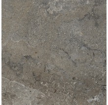 Feinsteinzeug Wand- und Bodenfliese Dover Natural 45 x 45 cm
