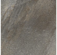 Feinsteinzeug Wand- und Bodenfliese Dover Natural 45 x 45 cm