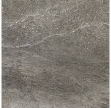 Feinsteinzeug Wand- und Bodenfliese Dover Natural 45 x 45 cm