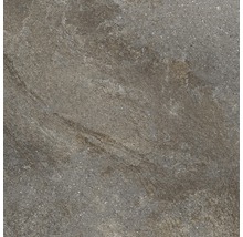 Feinsteinzeug Wand- und Bodenfliese Dover Natural 45 x 45 cm