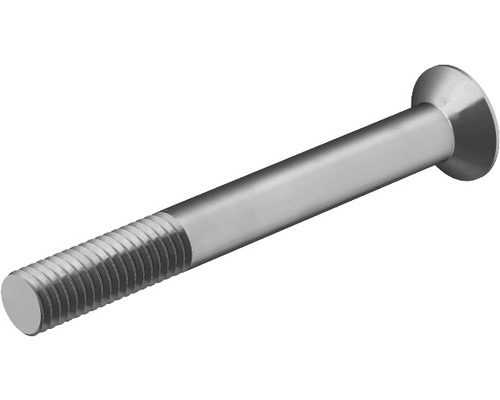 Schlossschraube mit Flachrundkopf und Gewinde