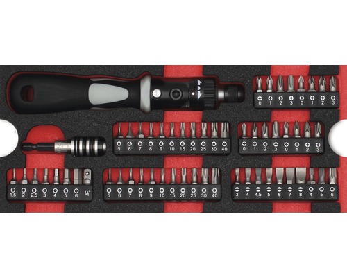 Moduleinlage Schraubendreher Bitset WGB Gr. S 268 x 38 x 114 mm schwarz 58-tlg Schraubendreher Set mit verschiedenen Bits
