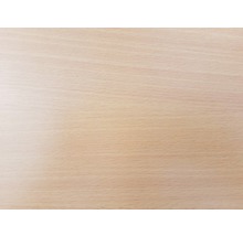 Möbelbauplatte Buche 19x200x2630 mm-thumb-4