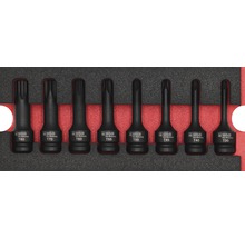 WGB Torx-Bit-Satz mit den Größen T30 bis T80 in schwarzer Halterung