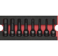 Moduleinlage Innensechskant-Kraft-Einsatz-Garnitur WGB Gr. S 268 x 38 x 342 mm schwarz 8-tlg