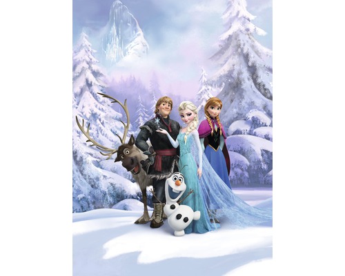 Fototapete Papier 4-498 Disney Edition 4 Frozen Winter Land 4-tlg. 184 x 254 cm