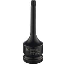 WGB T30 Cr-Mo Torx-Einsatz
