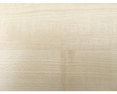 Holzstruktur, hell