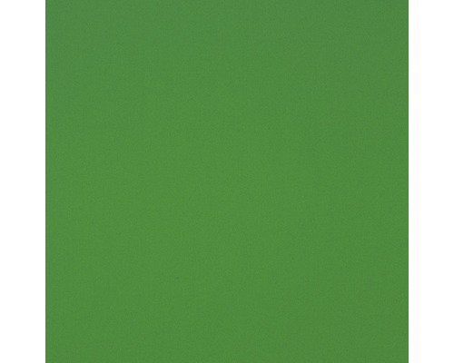 Hartschaumplatte Hobbycolor grün 500 x 500 x 3 mm