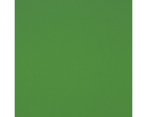 Hartschaumplatte Hobbycolor grün 500 x 1000 x 3 mm Grüner Hintergrund