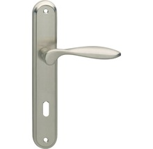Türgriff aus Metall mit Langschild