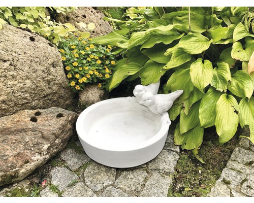 Vogeltränke aus Steinzeug mit Vogeldekoration im Garten