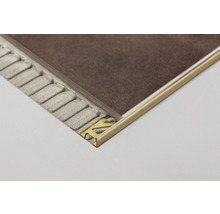 Fliesenschiene aus Metall mit Fliese und Fliesenkleber