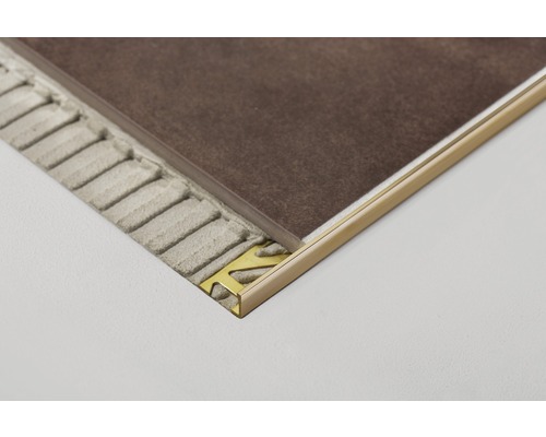 Fliesenschiene aus Metall mit Fliese und Fliesenkleber