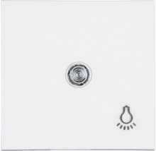 Schaltereinsatz fuer Beleuchtung