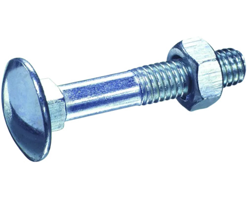 Schlossschraube mit Mutter