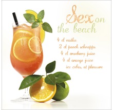 Rezept für den Cocktail Sex on the Beach mit Zutaten und Zubereitungshinweisen
