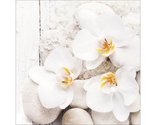 Stillleben mit Orchideenblüten, Steinen und Badesalz