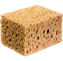 Putzschwamm