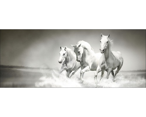 Glasbild White Horses 30x80 cm GLA1176