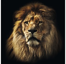Glasbild The Leader 50x50 cm GLA1178