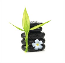 Stapel schwarzer Steine mit Bambussprossen und Blume
