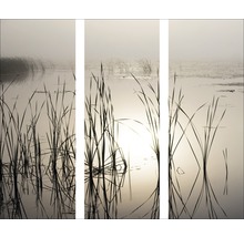 Dreiteiliges Wandbild mit Schilf im Wasser