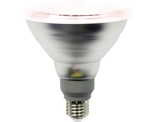 LED Pflanzenlampe Reflektor PAR38 E27/12W 70°