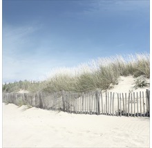Strandlandschaft mit hölzernem Zaun und Grasdünen unter blauem Himmel