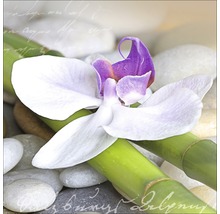 Dekoration mit Orchidee, Bambus und Steinen