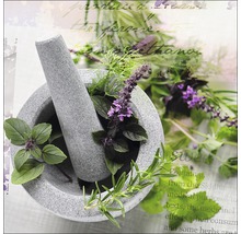 Mörser mit Stößel und Kräutern