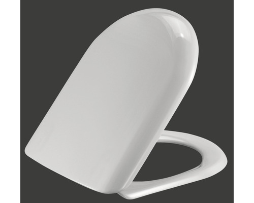 Toilettendeckel aus Kunststoff