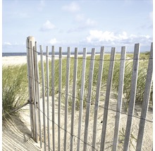 Holzzaun auf einer Sanddüne mit Gras im Hintergrund