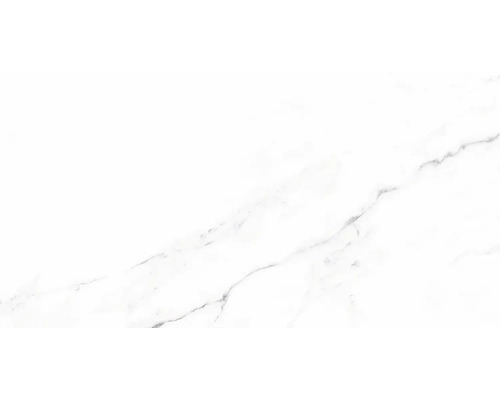 Feinsteinzeug Wand- und Bodenfliese Verona blanco 32 x 62,5 cm